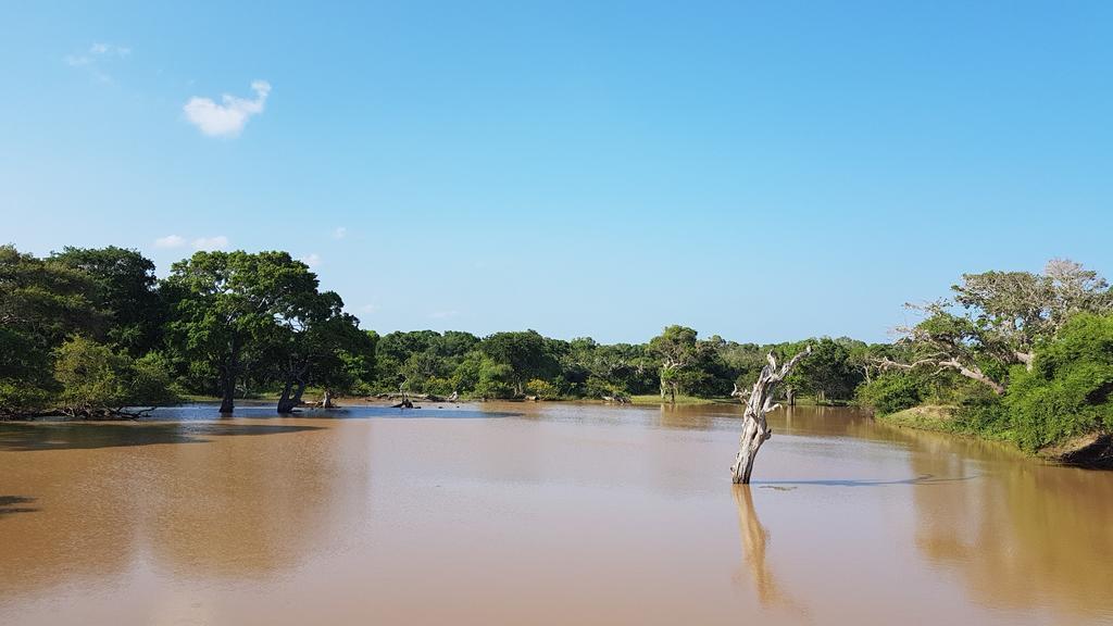 Wild Panthera Yala Tissamaharama Zewnętrze zdjęcie